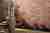 Constanza 